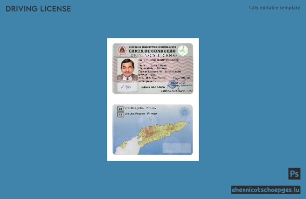 Beispielansicht eines Führerscheins aus Timor-Leste